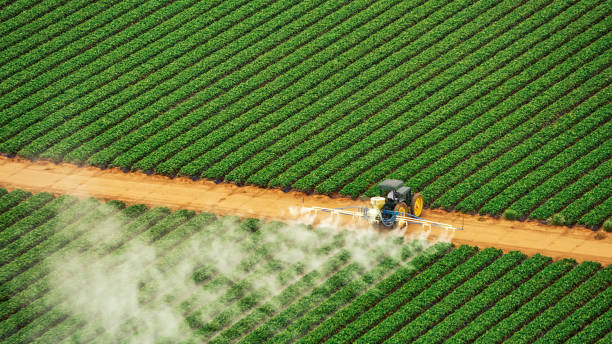 Best Pest Removal Services  in Delmar, MD