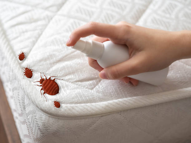 Best Exterminator Services  in Delmar, MD