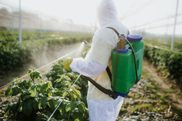Best Rat Extermination Near Me  in Delmar, MD
